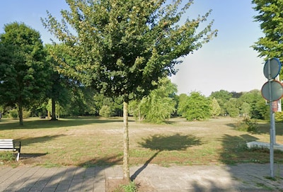 Image related to the article