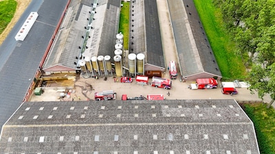 Meerdere varkens overleden bij reddingsactie uit put in Den Bosch