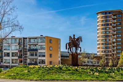 Mysterie opgelost: daarom staat er een paard op de rotonde van het Nieuwlandplein