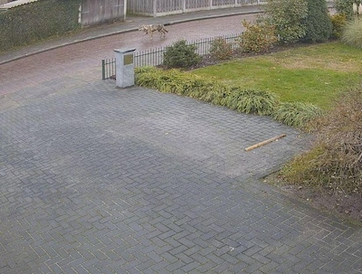 Wolf duikt op in woonwijk Enschede, maar wethouder stelt gerust: 'Geen risico voor mensen en kindere