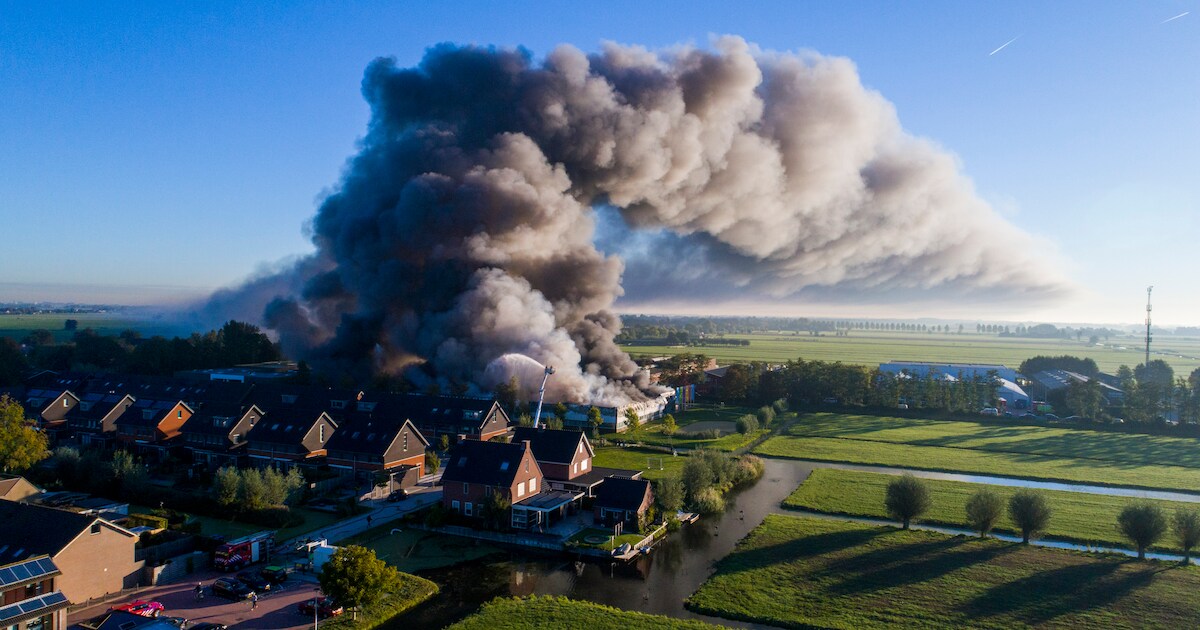 Alzheimersokken voor goede doel in vlammen opgegaan bij brand Molenaarsgraaf