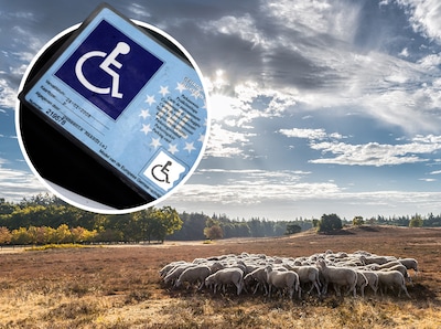 Hoge Veluwe schrapt invalideregeling, Daniëlle (56) zegt gelijk jaarkaart op: ‘Alsof we gestraft wor