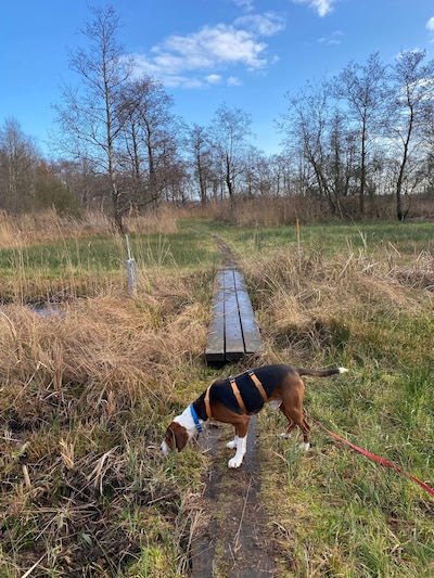 Image related to the article