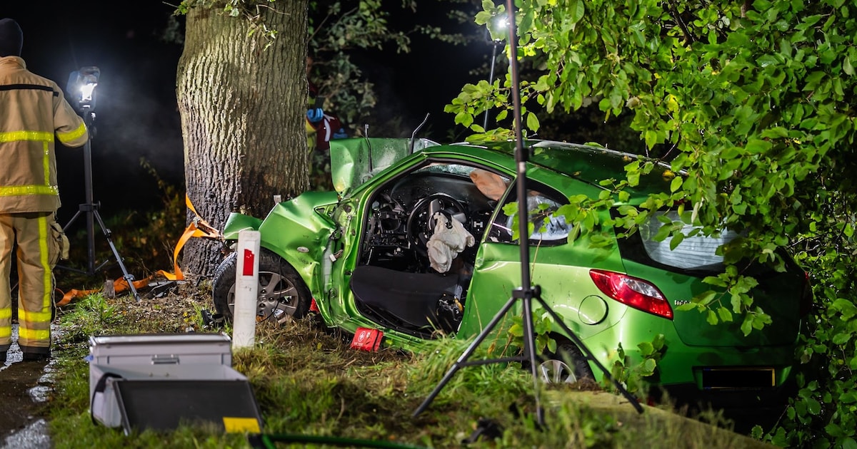 Vrouw (32) overleden na frontale botsing auto tegen boom, twee inzittenden gewond