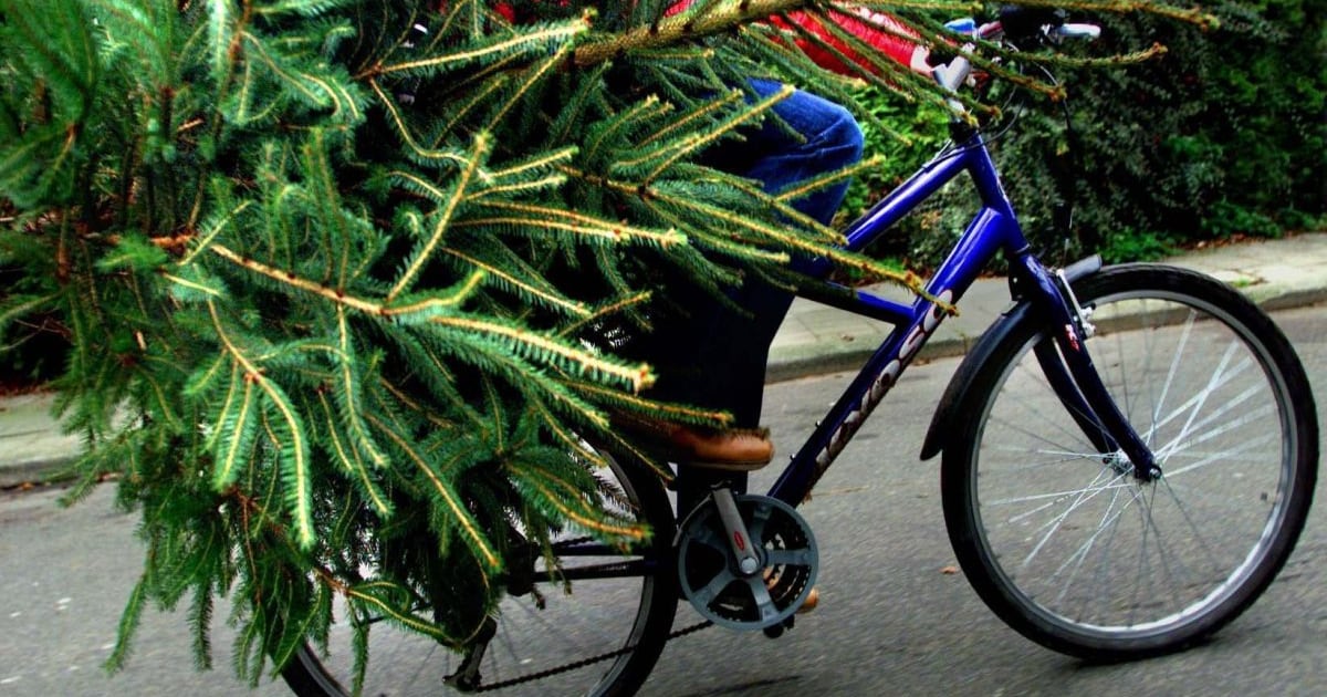 Kinderen Waddinxveen kunnen vrijdag weer kerstbomen inleveren