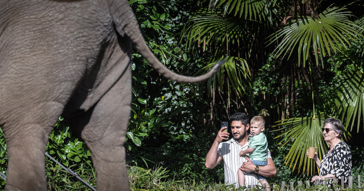 Dierenpark Hoenderdaell in Anna Paulowna meest gewaardeerde dagattractie van Nederland