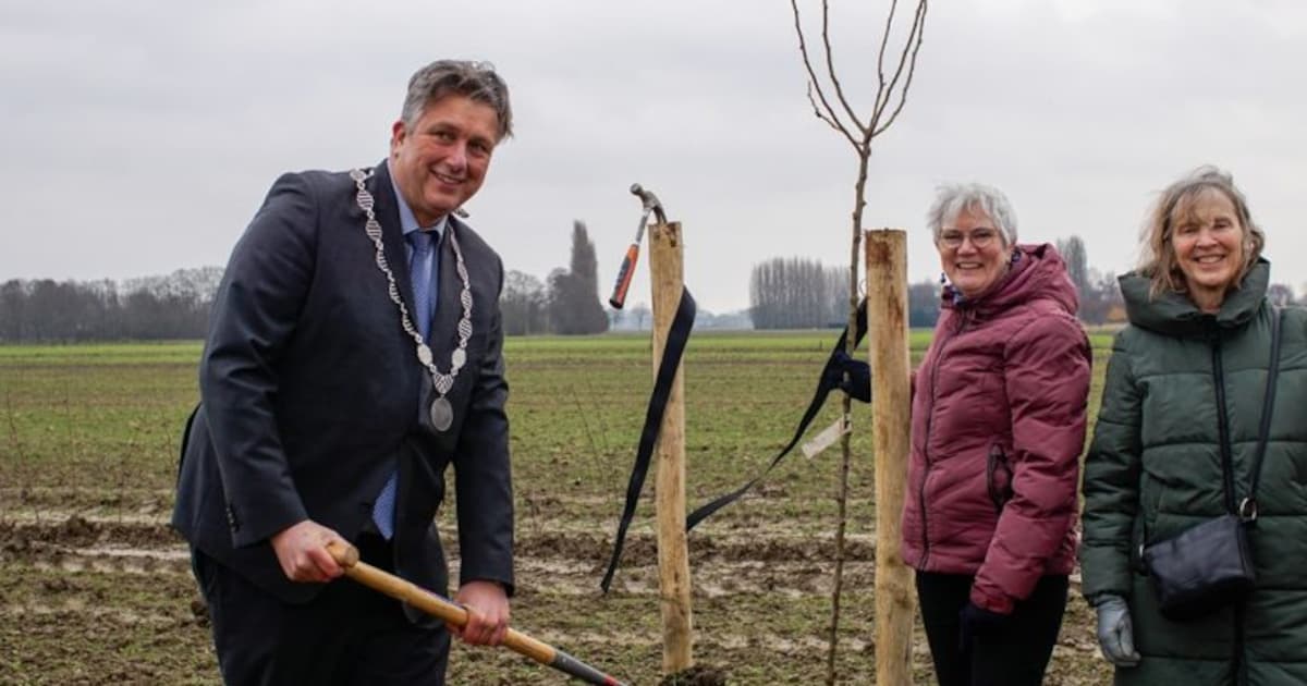 Fruitbomen en hagen geplant in Buijtenland van Rhoon