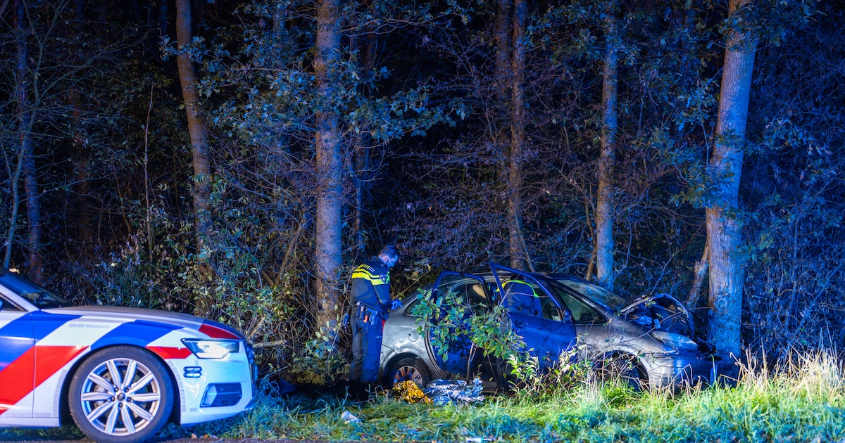 Auto crasht na achtervolging op A58 bij Sint Willebrord; twee inzittenden gewond