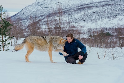 Freek Vonk: ‘Faunabescherming en Animal Rights medeverantwoordelijk voor doodschieten van wolf’