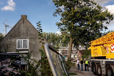 Bomensoap in Waalwijk duurt voort: kap zomereik ligt voorlopig stil door nieuwe rechtszaak