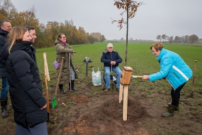 Weer plaats voor nieuwe bomen in Gedenkbos Asten: ‘Het is geen treurig bos’
