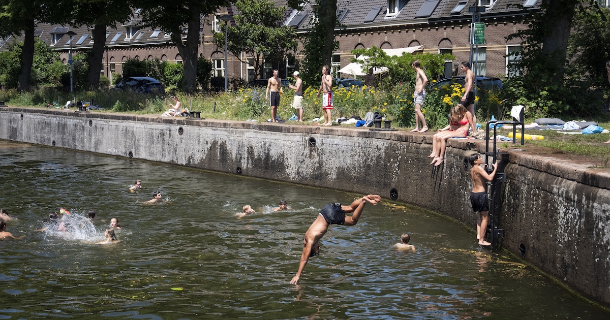 Rioolwater in buitenwater: niet zwemmen in delen van Utrecht , Stichtse Vecht en De Bilt