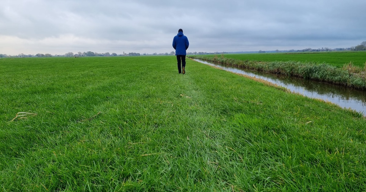 Hoogleraar maakt melding van ‘ufo’ boven weiland in Schipluiden: ‘Zag object in de lucht zweven’