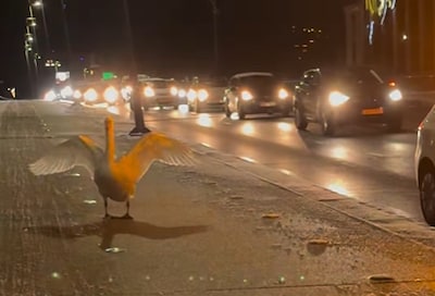 Image related to the article