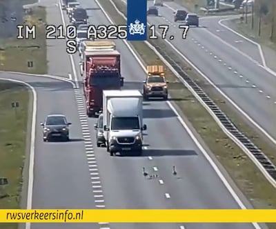 Een wel heel schattige oponthoud op de A325 bij Elst
