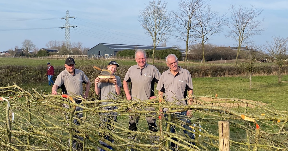 Jubileumeditie NK Maasheggenvlechten in Oeffelt