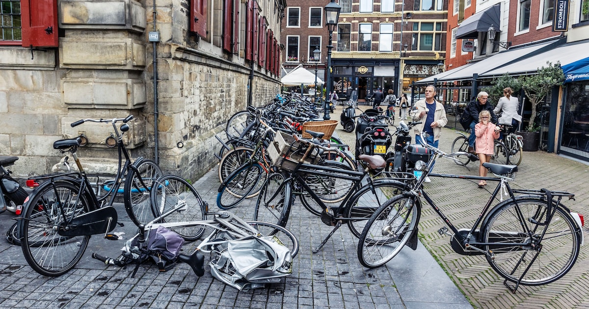 Delft gaat meedoen aan een proef met een regionaal deelfietsensysteem