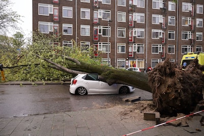 Image related to the article