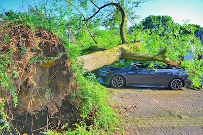 Image related to the article