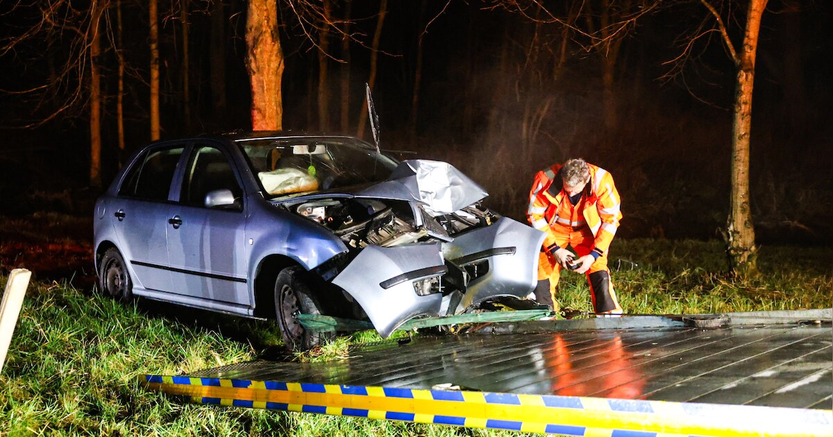 Automobilist botst frontaal op boom langs A31 bij Menaam
