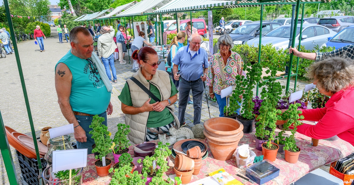 De Bommesee al 50 jaar de groene long van de stad: ‘Kinderen vinden het vaak ook heel leuk om hier b