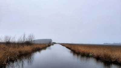 Wandeling met IVN-gids door Auvergnepolder bij Halsteren