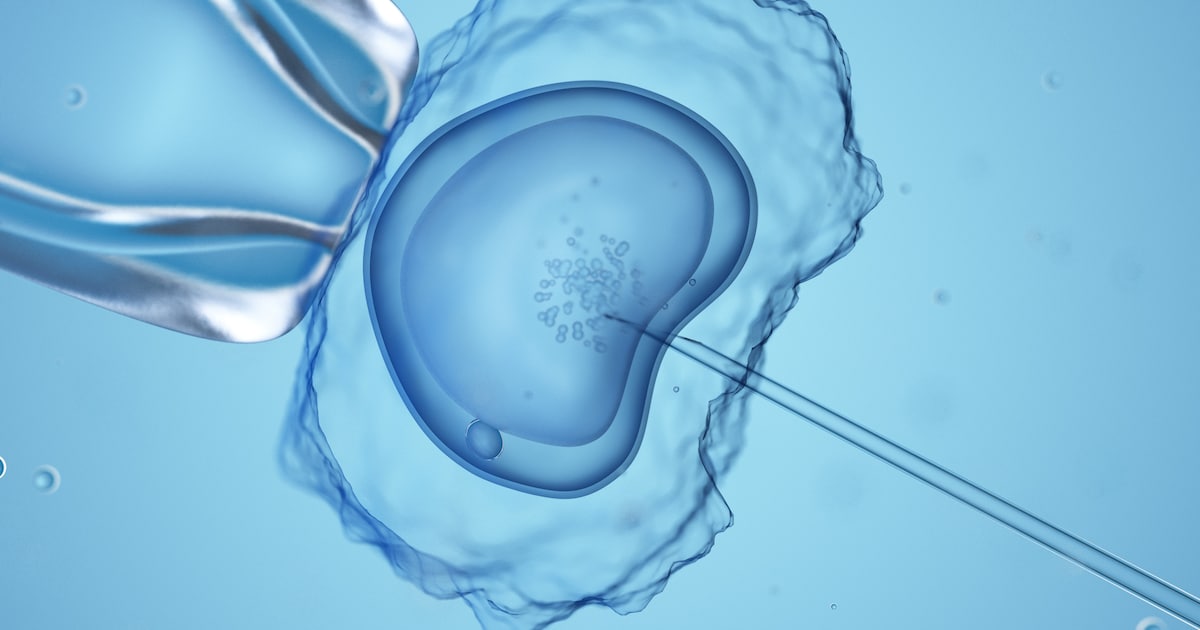 Man gebruikt handtekening van vrouw om opgeslagen embryo te vernietigen: ‘Ze zei dat ik het moest re