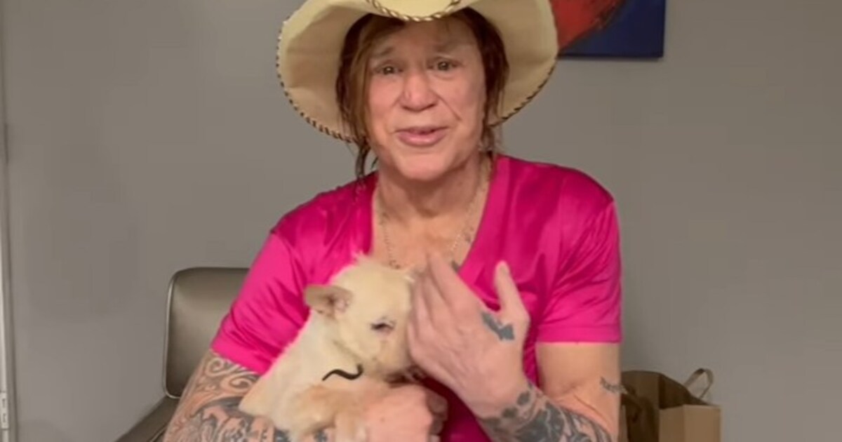 Hoe Mickey Rourke (73) aan lager wal raakt maar hulp weigert: ‘Ik steek ...