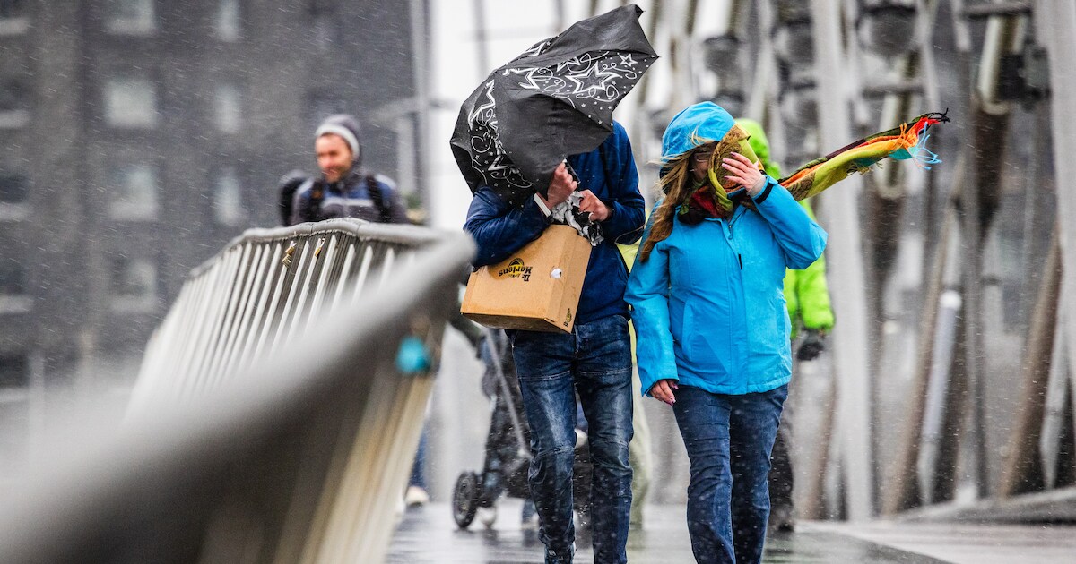 KNMI waarschuwt voor code geel in regio Rotterdam, kans op stevige ...