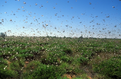 Image related to the article