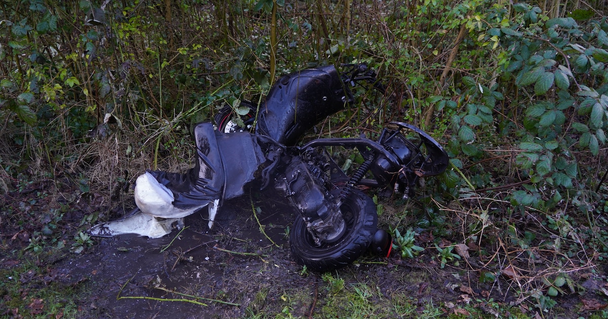 Scooter uitgebrand in park in Berkel en Rodenrijs