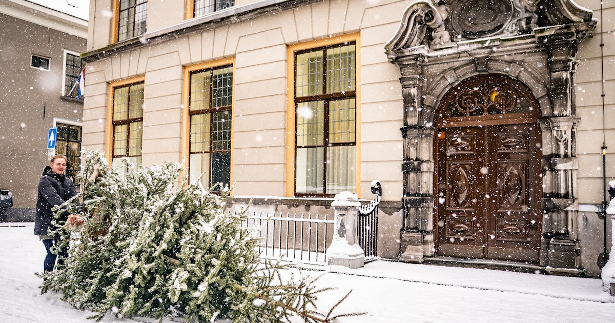 Kerstboominzameling in Ridderkerk uitgesteld door winterweer