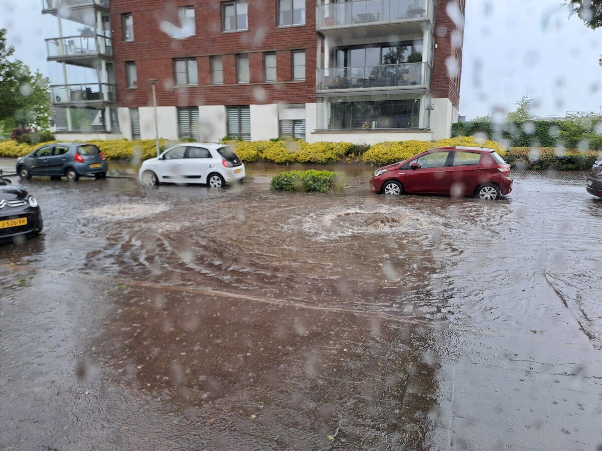 Bewoners in Bergen op Zoom zien rioolwater met tampons, drollen en dode ...