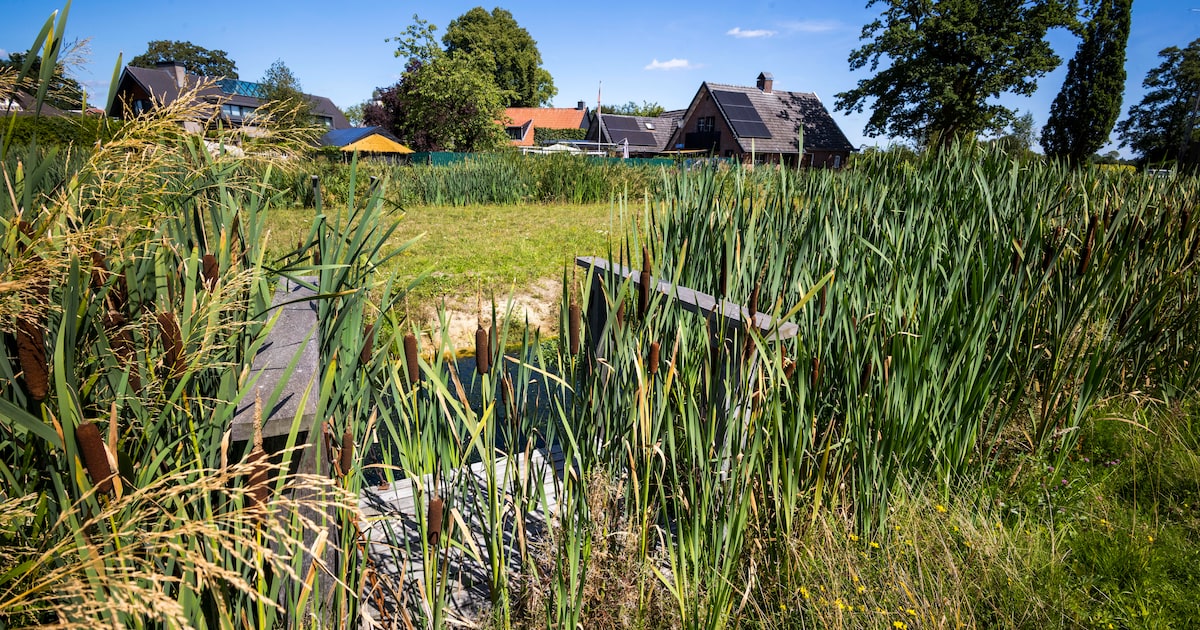 Onderhoud De Bleek in Losser moet beter, college belooft beterschap