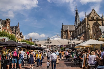 Weekend tips: things to do in Haarlem (July 31 - August 2)