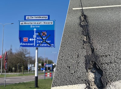 Image related to the article