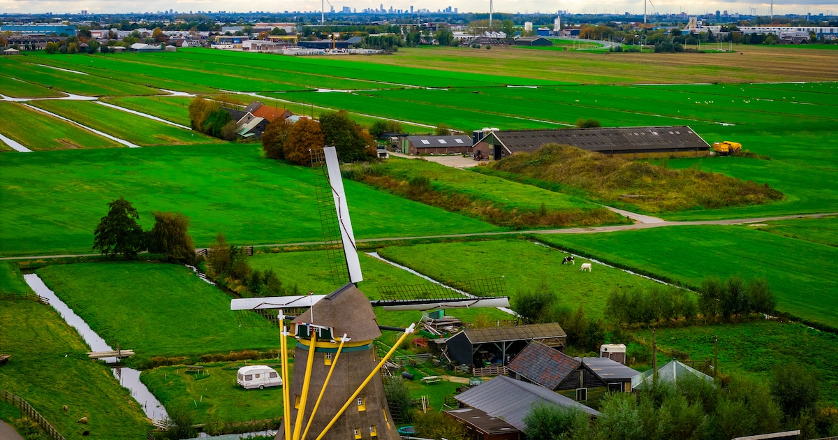 Dijk in Gnephoek versterkt door deze ‘vast te spijkeren’
