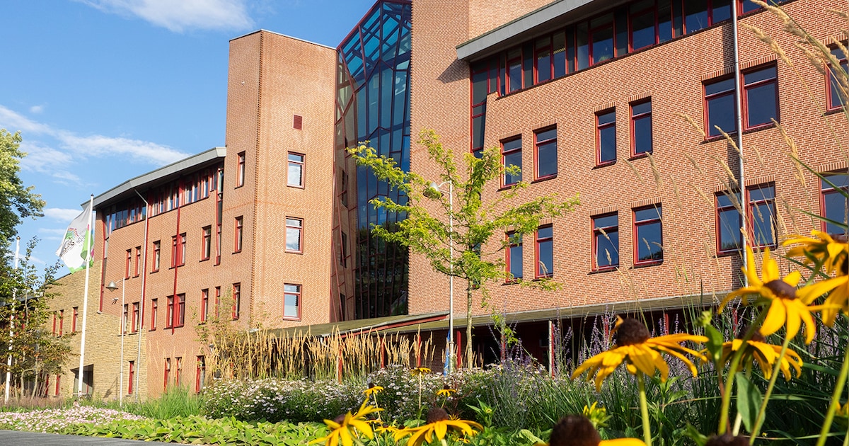 Vrijwilligers krijgen waardering in Bladel, Eersel en Reusel-De Mierden