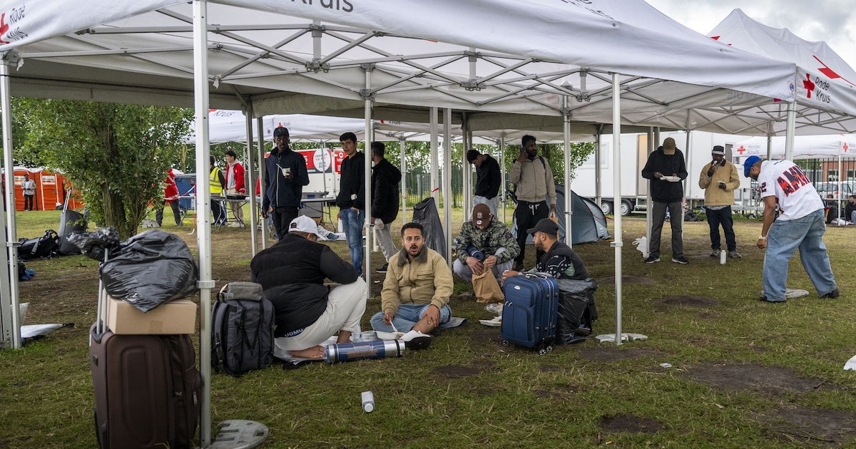 Rode Kruis en VluchtelingenWerk stoppen met hulpverlening in Ter Apel na meerdere incidenten