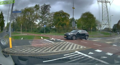 Bestuurder rijdt door na aanrijden zwaan in Den Bosch, dier aan verwondingen overleden