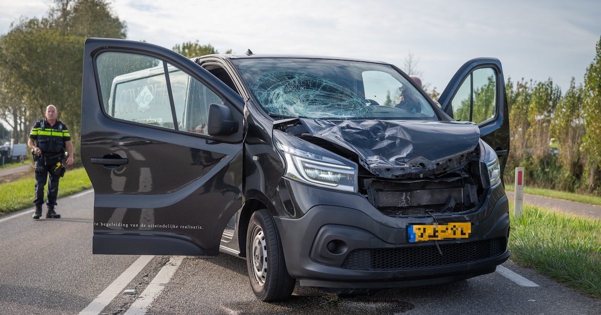 Fietser (88) overleden na aanrijding met bestelbus in Simonshaven