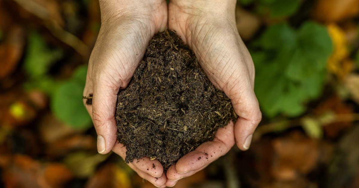 Lezing over bodemkwaliteit in Someren met praktische tips voor in de tuin