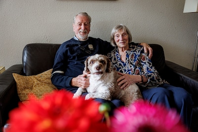 Image related to the article