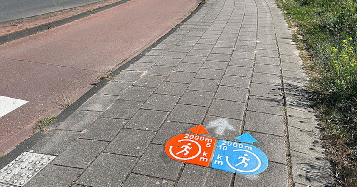 Nieuwe wandelroutes in Naaldwijk stimuleren beweging | Westland