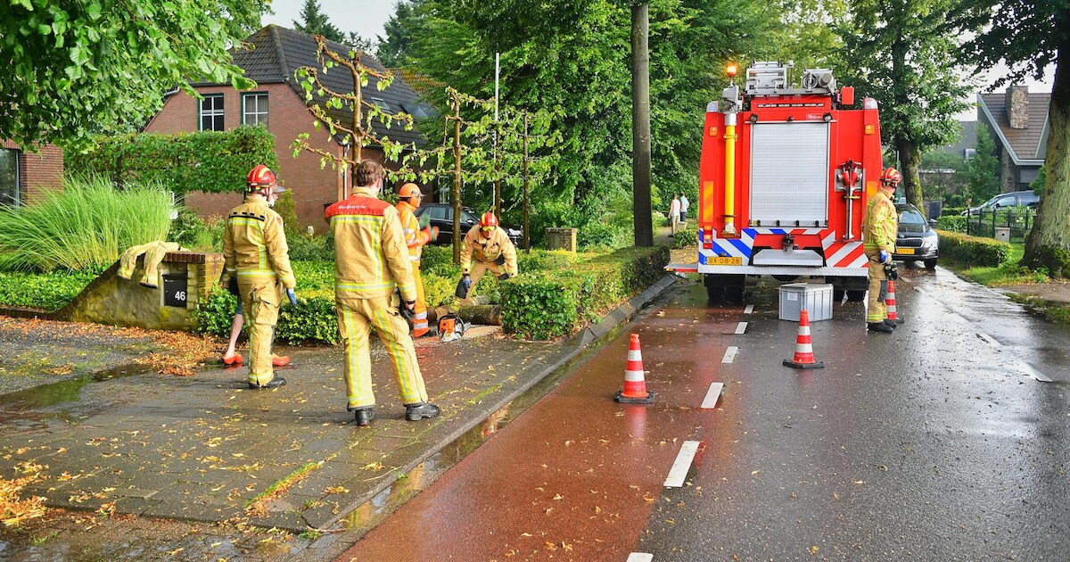 Storm waait bomen om in Steensel, brandweer rukt uit | Foto