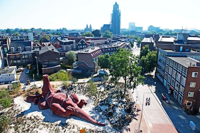 Van Presikhaaf tot Burgers’ Zoo: deze alternatieven voor Sonsbeek opperen Arnhemmers voor het Feesta