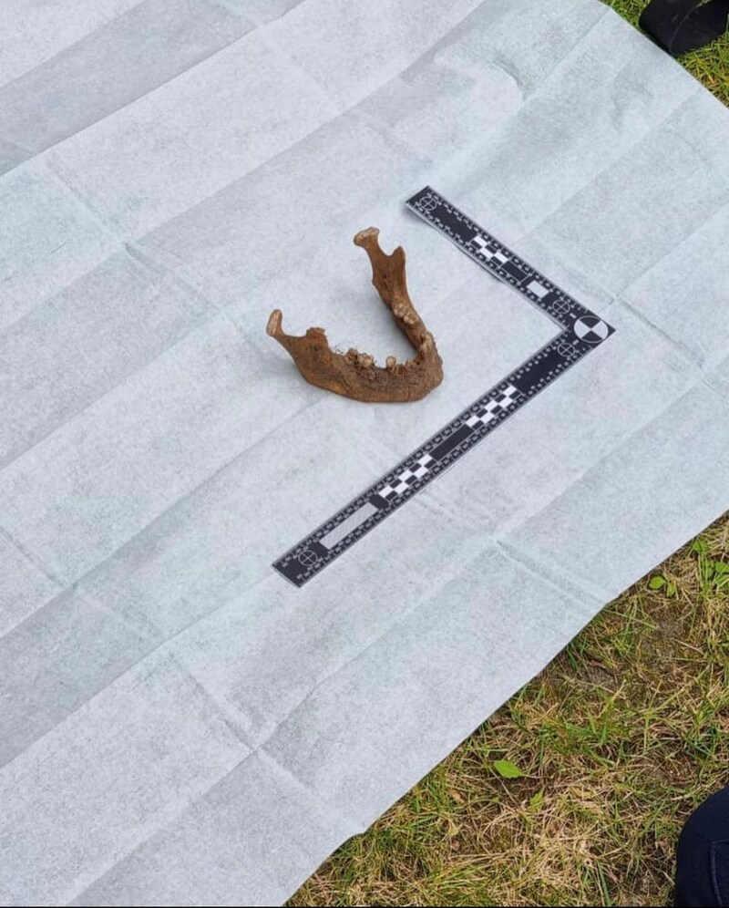 In een achtertuin aan de Snoeckgensheuvel in Amersfoort hebben konijnen van bewoners lichaamsresten van zeker drie personen gevonden.