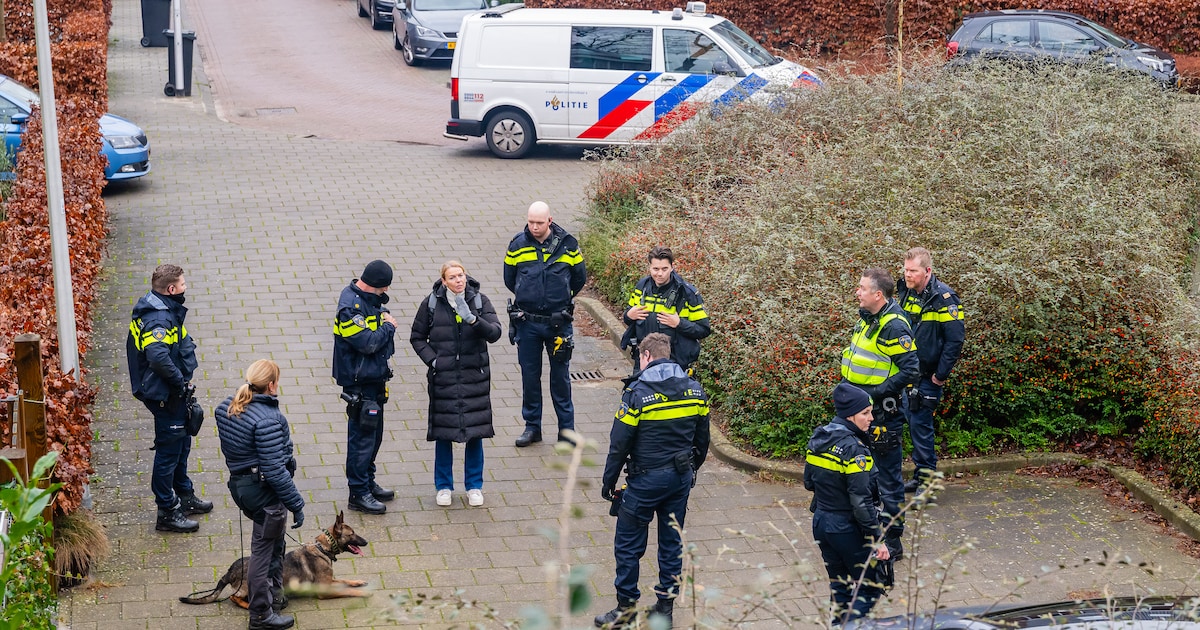 Politie kamt met honden en harken omgeving dodelijke steekpartij Den Dolder af
