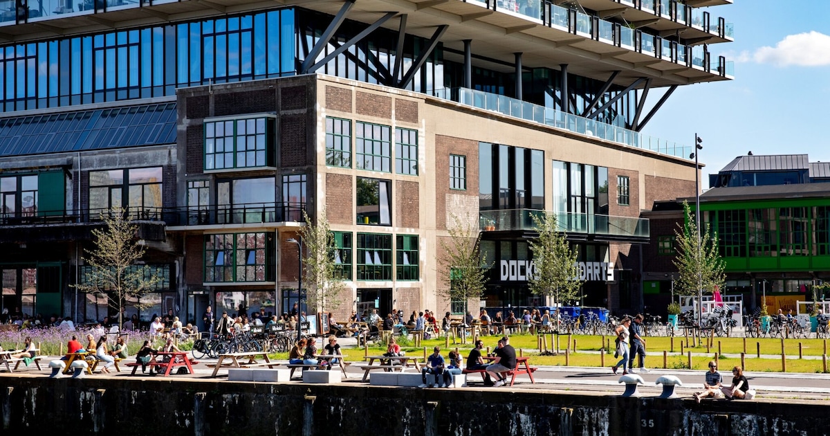 Weektips: deze dingen doe je in Rotterdam (24–26 februari)