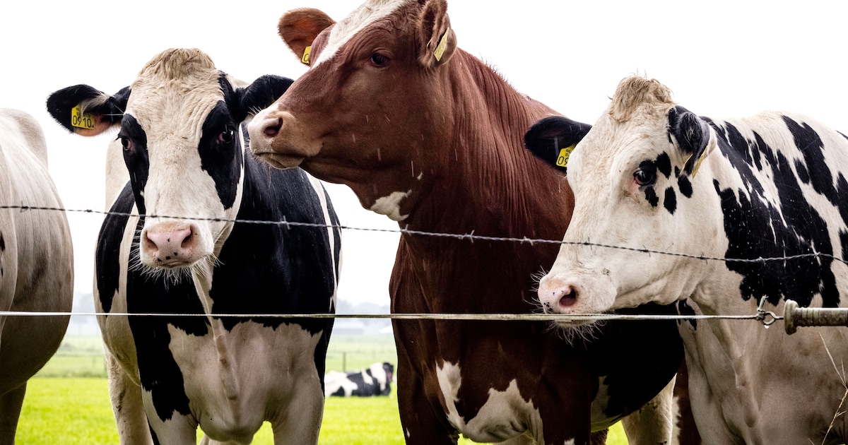 SGP Woudenberg houdt familiedag bij boerderij Groot Nieuwenhuizen
